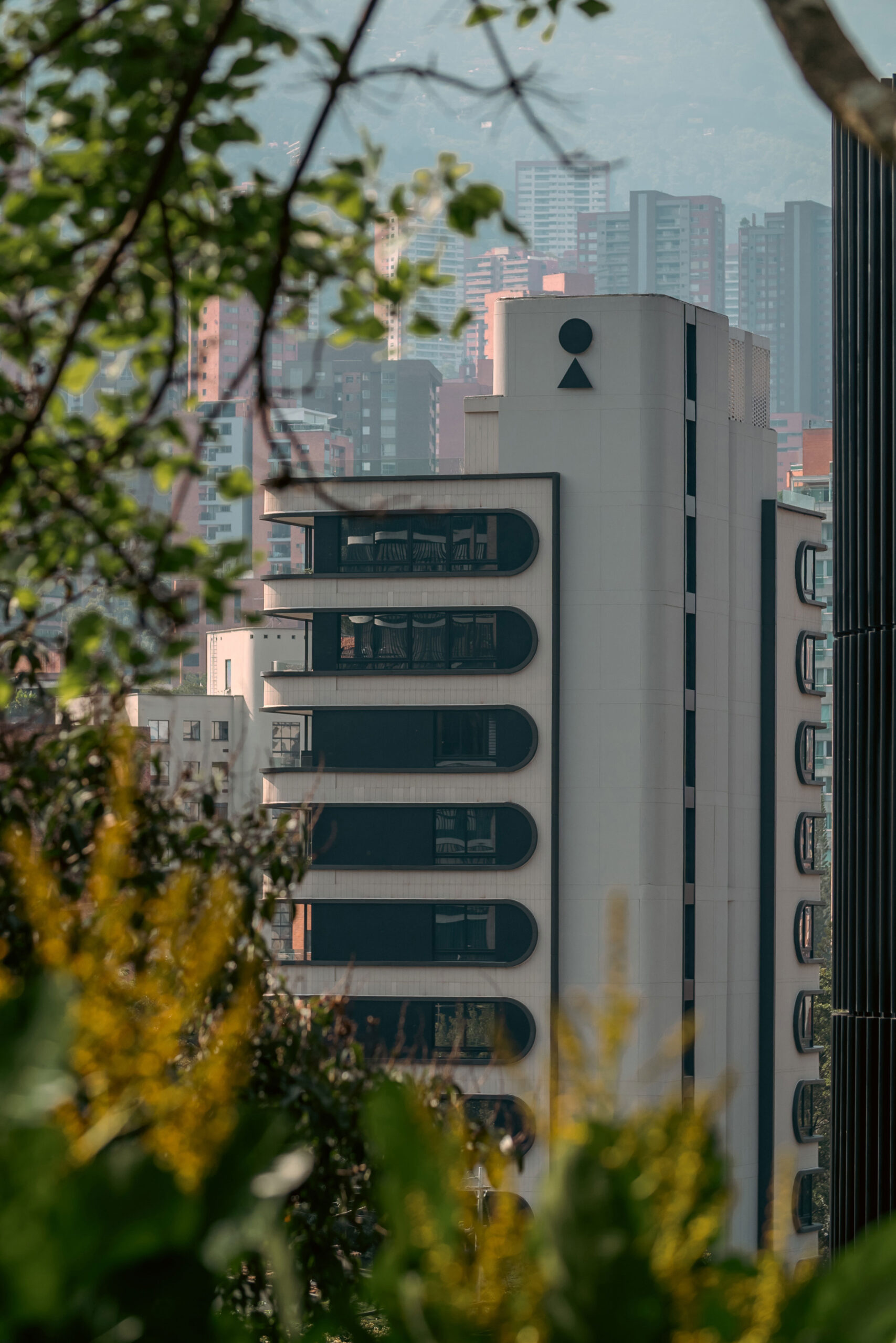 _DSC0223
