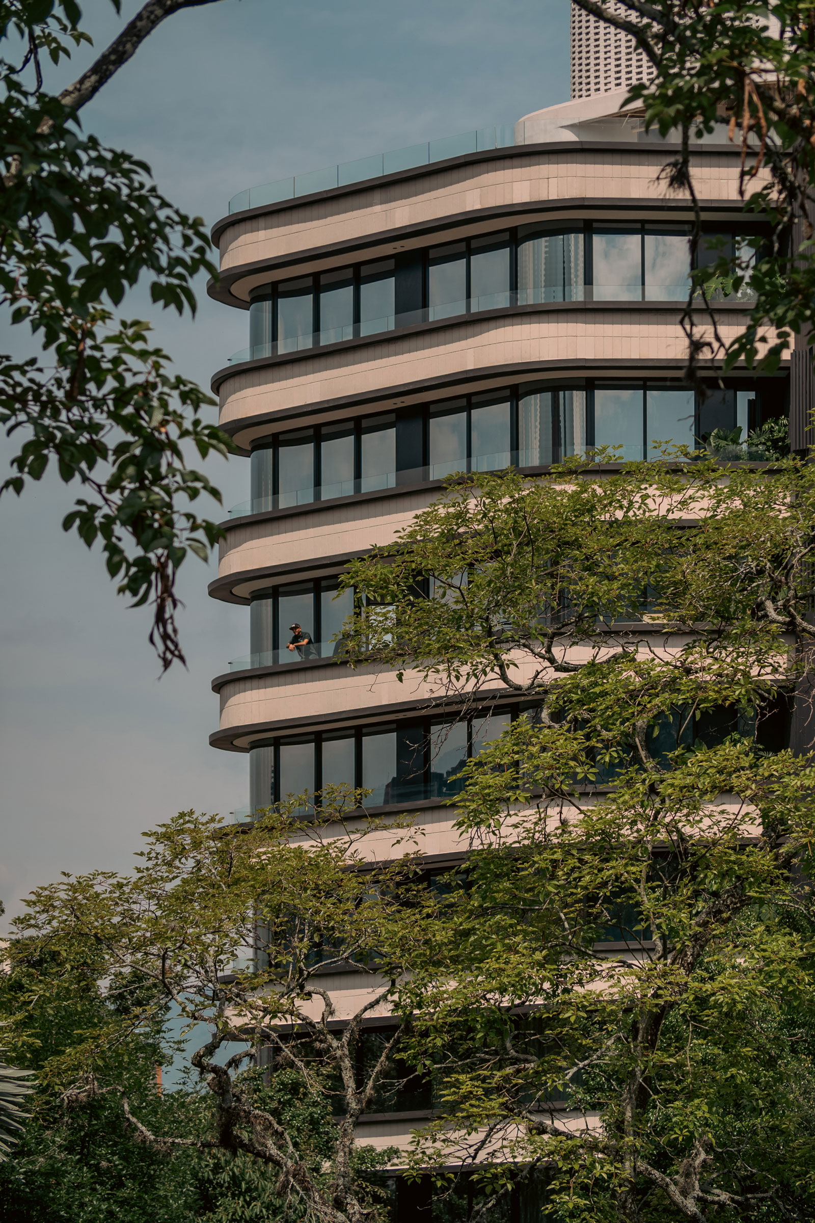 _DSC0341